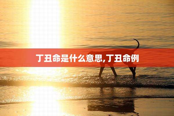 丁丑命是什么意思,丁丑命例