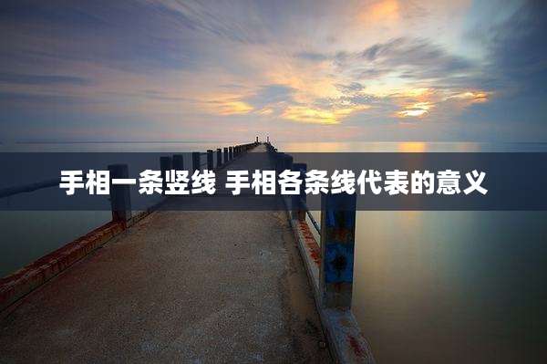 手相一条竖线 手相各条线代表的意义