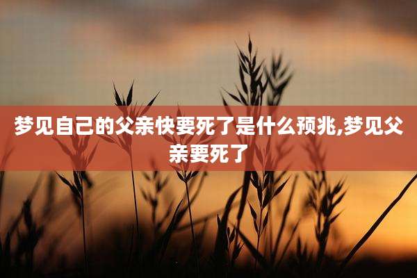 梦见自己的父亲快要死了是什么预兆,梦见父亲要死了