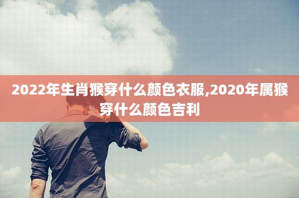 2022年生肖猴穿什么颜色衣服,2020年属猴穿什么颜色吉利