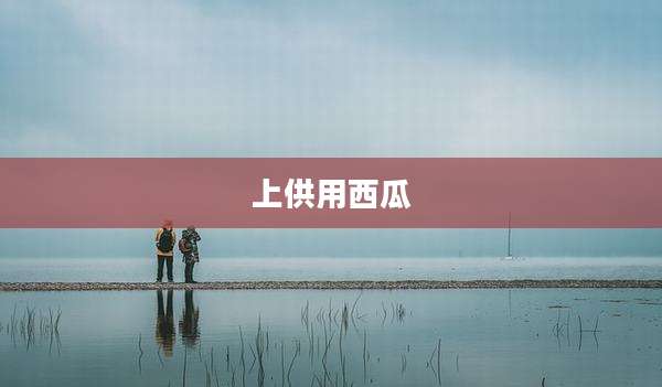 上供用西瓜