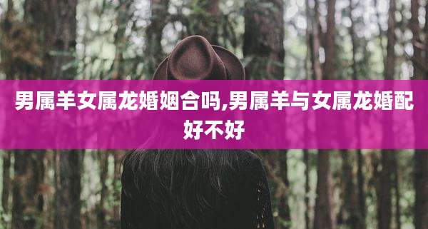 男属羊女属龙婚姻合吗,男属羊与女属龙婚配好不好