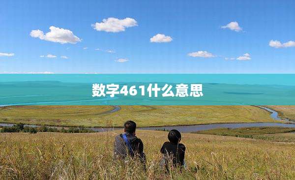 数字461什么意思
