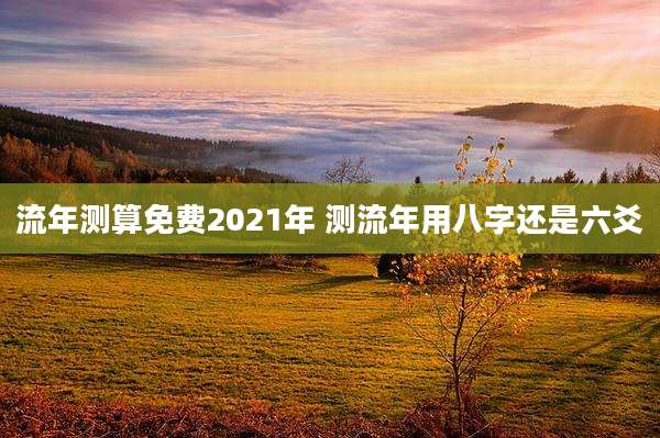 流年测算免费2021年 测流年用八字还是六爻