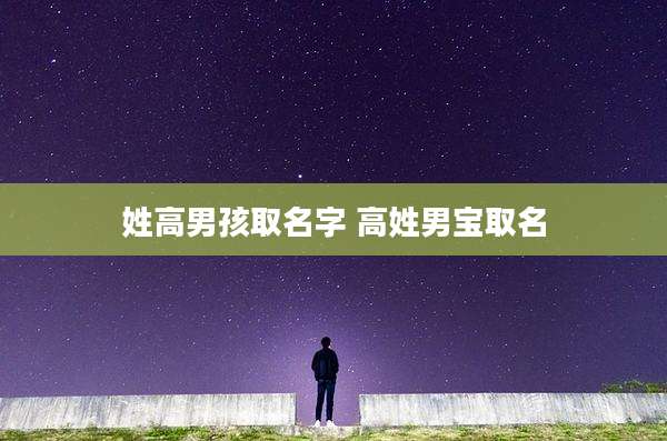 姓高男孩取名字 高姓男宝取名