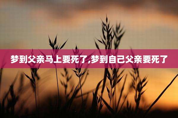 梦到父亲马上要死了,梦到自己父亲要死了