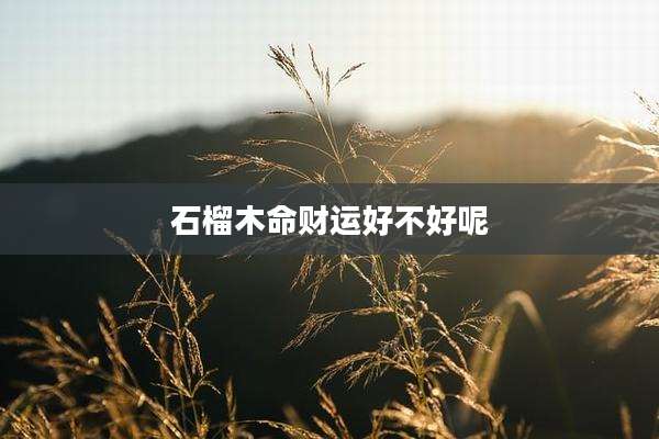 石榴木命财运好不好呢