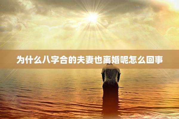 为什么八字合的夫妻也离婚呢怎么回事