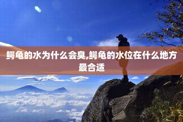 鳄龟的水为什么会臭,鳄龟的水位在什么地方最合适