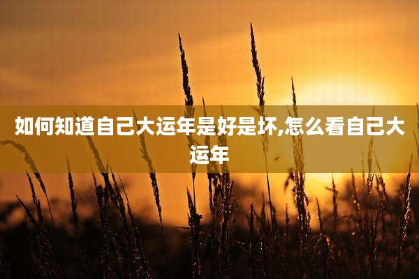 如何知道自己大运年是好是坏,怎么看自己大运年
