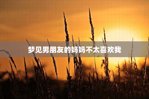 梦见男朋友的妈妈不太喜欢我