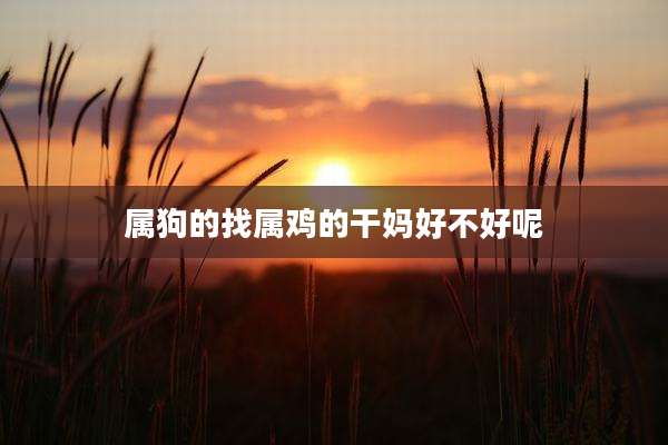 属狗的找属鸡的干妈好不好呢
