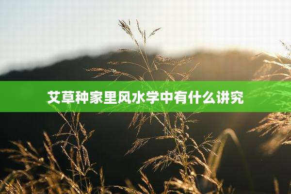 艾草种家里风水学中有什么讲究