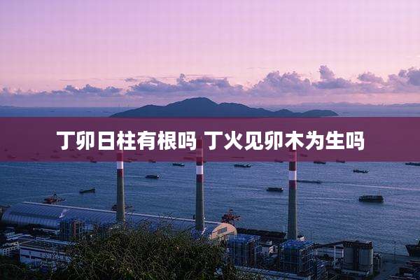 丁卯日柱有根吗 丁火见卯木为生吗