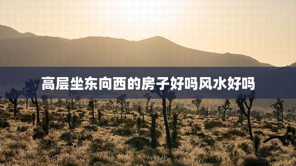 高层坐东向西的房子好吗风水好吗