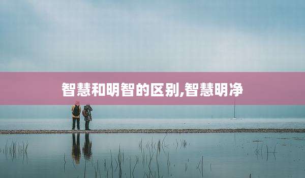 智慧和明智的区别,智慧明净