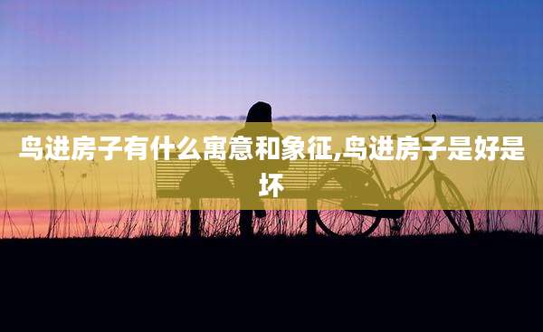 鸟进房子有什么寓意和象征,鸟进房子是好是坏