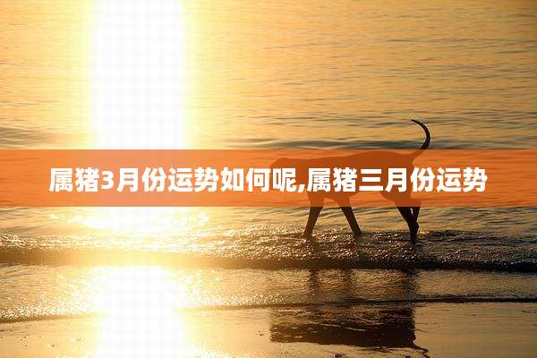 属猪3月份运势如何呢,属猪三月份运势