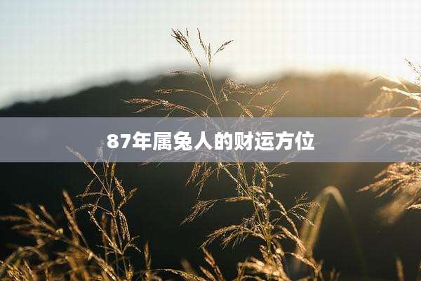 87年属兔人的财运方位