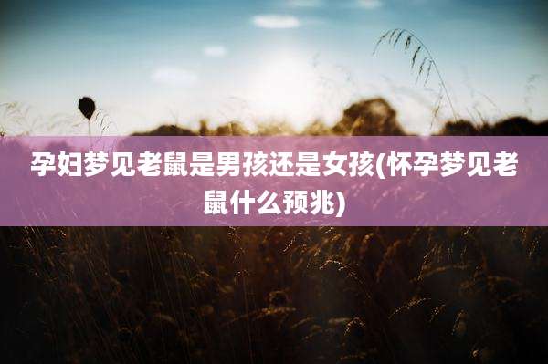 孕妇梦见老鼠是男孩还是女孩(怀孕梦见老鼠什么预兆)