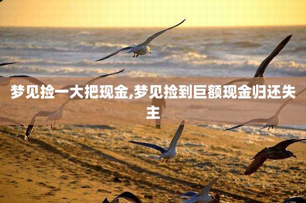 梦见捡一大把现金,梦见捡到巨额现金归还失主