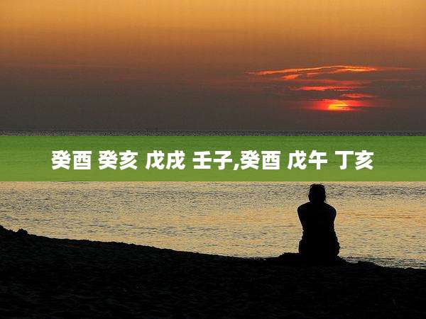 癸酉 癸亥 戊戌 壬子,癸酉 戊午 丁亥