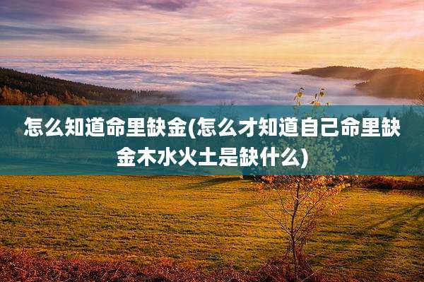 怎么知道命里缺金(怎么才知道自己命里缺金木水火土是缺什么)