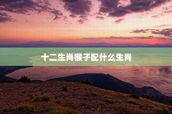 十二生肖猴子配什么生肖