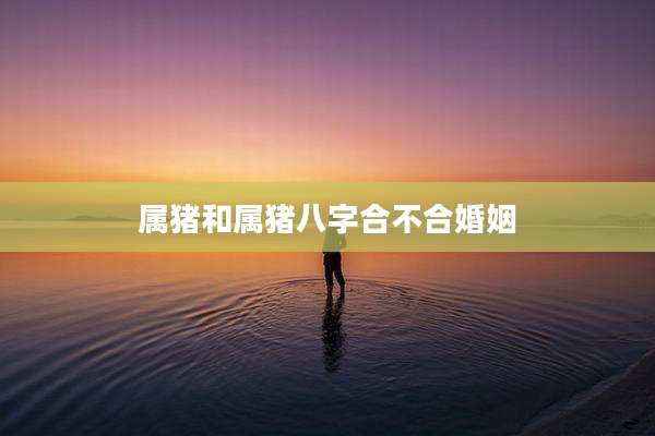 属猪和属猪八字合不合婚姻