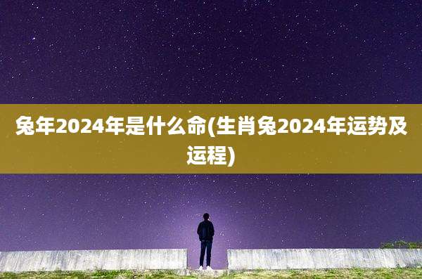 兔年2024年是什么命(生肖兔2024年运势及运程)