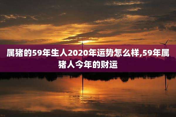 属猪的59年生人2020年运势怎么样,59年属猪人今年的财运
