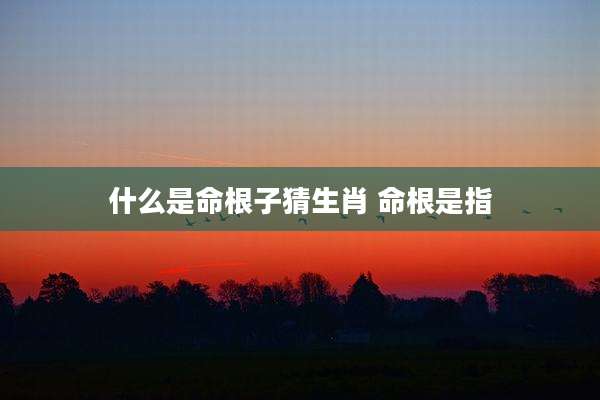 什么是命根子猜生肖 命根是指