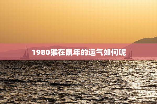 1980猴在鼠年的运气如何呢