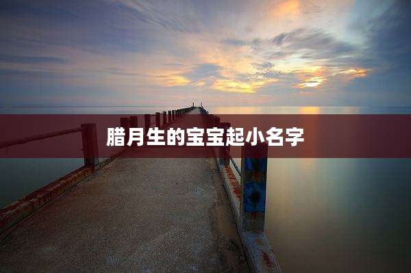 腊月生的宝宝起小名字