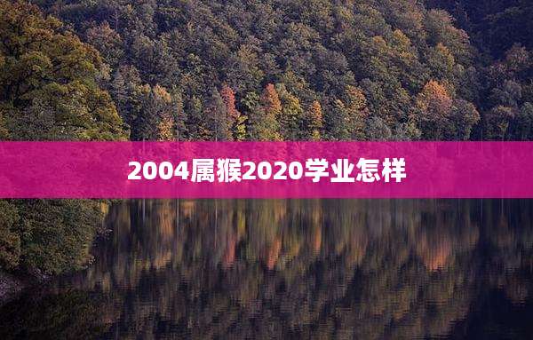 2004属猴2020学业怎样