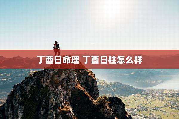 丁酉日命理 丁酉日柱怎么样
