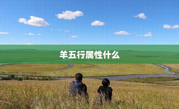 羊五行属性什么