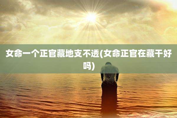 女命一个正官藏地支不透(女命正官在藏干好吗)
