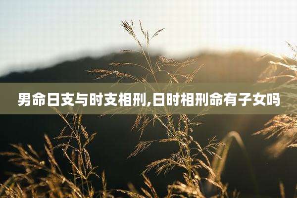 男命日支与时支相刑,日时相刑命有子女吗