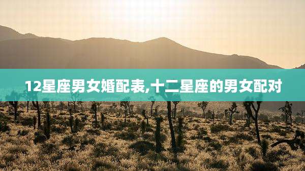 12星座男女婚配表,十二星座的男女配对