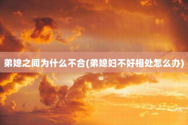 弟媳之间为什么不合(弟媳妇不好相处怎么办)