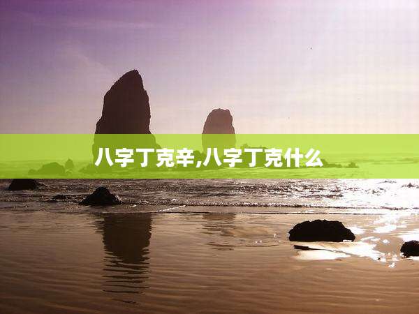 八字丁克辛,八字丁克什么