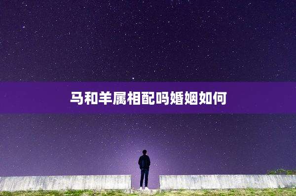 马和羊属相配吗婚姻如何