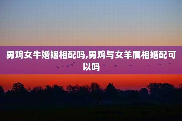 男鸡女牛婚姻相配吗,男鸡与女羊属相婚配可以吗
