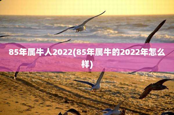 85年属牛人2022(85年属牛的2022年怎么样)