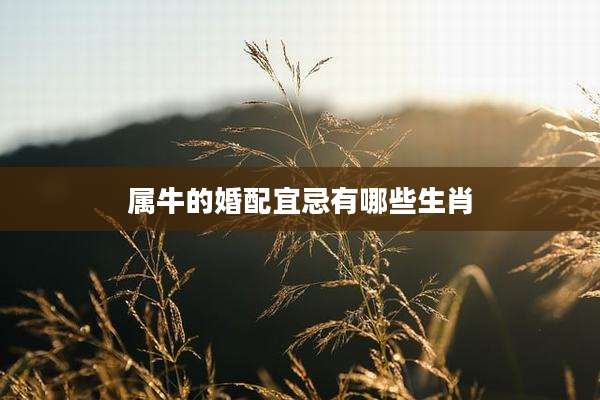 属牛的婚配宜忌有哪些生肖