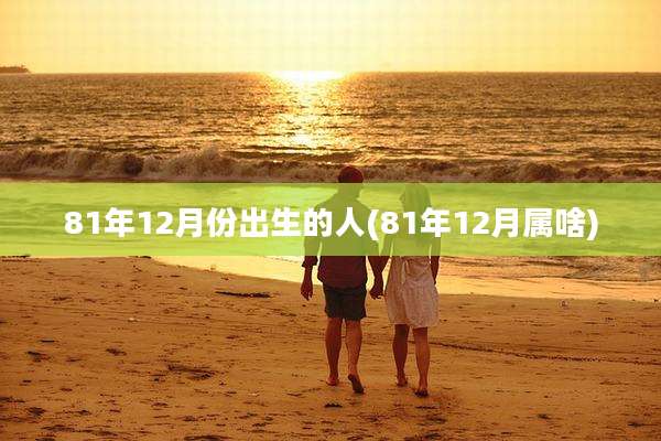 81年12月份出生的人(81年12月属啥)