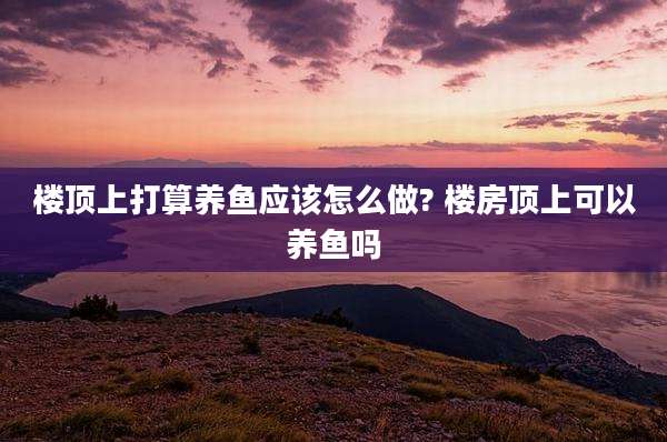 楼顶上打算养鱼应该怎么做? 楼房顶上可以养鱼吗