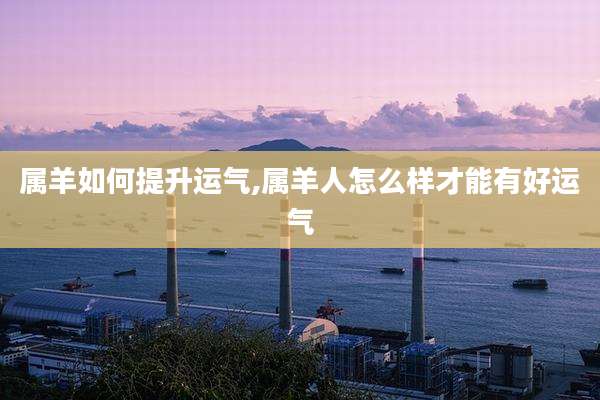 属羊如何提升运气,属羊人怎么样才能有好运气