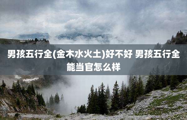 男孩五行全(金木水火土)好不好 男孩五行全能当官怎么样